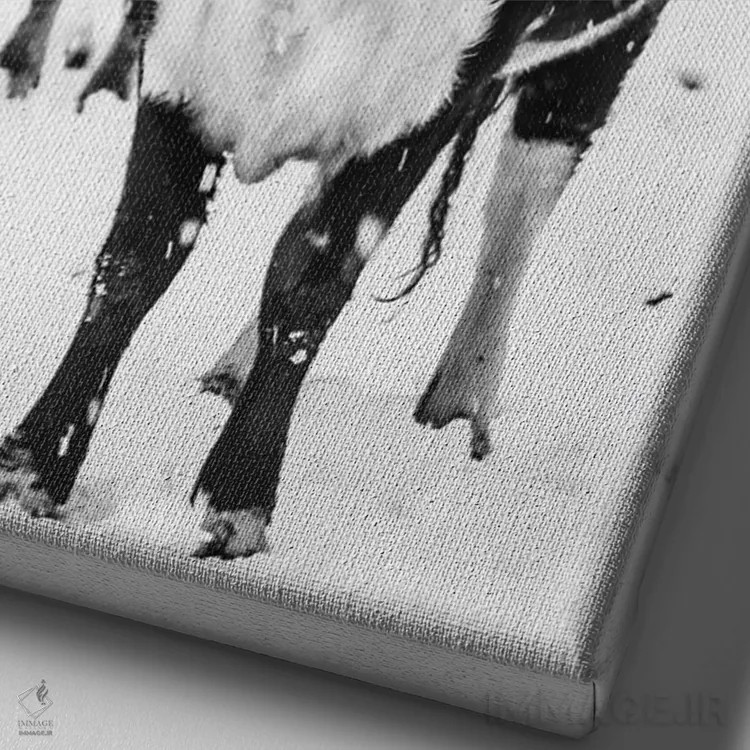 تابلو دکوراتیو زمستان سفید در مزرعه اثر دبرا اوبرتانک - نمای نزدیک بافت بوم