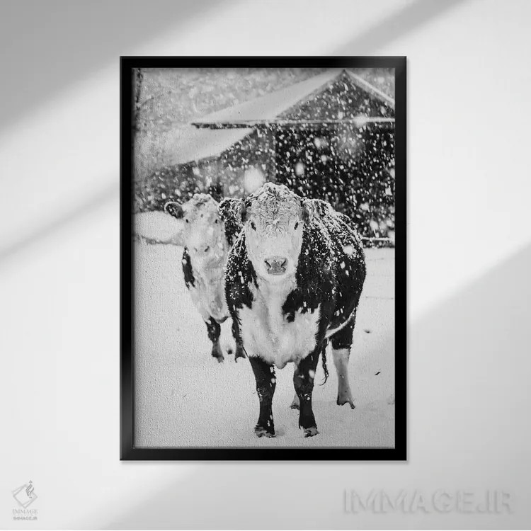 تابلو دکوراتیو زمستان سفید در مزرعه اثر دبرا اوبرتانک - نمای قابدار مشکی