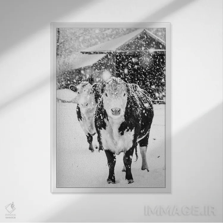 تابلو دکوراتیو زمستان سفید در مزرعه اثر دبرا اوبرتانک - نمای قابدار سفید