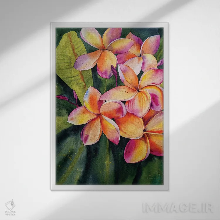 تابلو دکوراتیو گل فرانجیپانی اثر دلنارا ال - نمای قابدار سفید