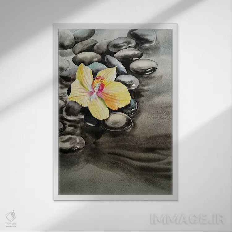 تابلو دکوراتیو ارکیده و سنگ های دریایی اثر دلنارا ال - نمای قابدار سفید