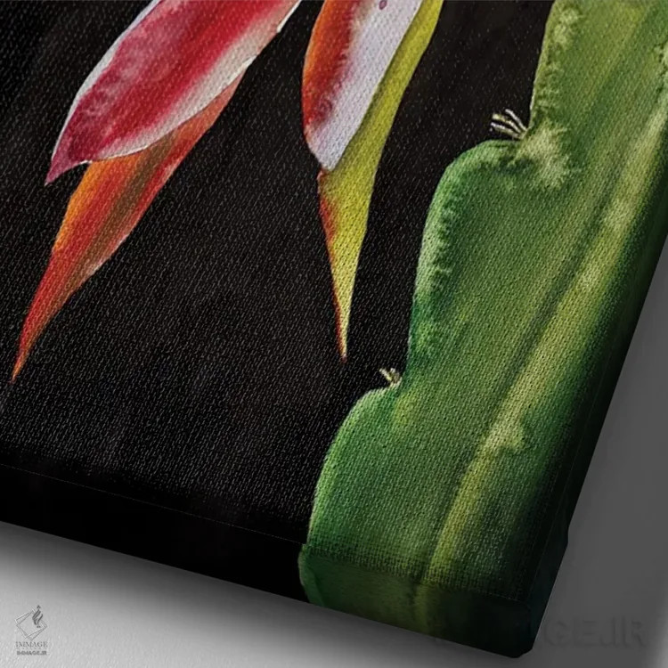 تابلو دکوراتیو گل کاکتوس اثر دلنارا ال - نمای نزدیک بافت بوم