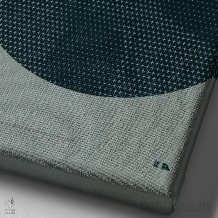 تابلو دکوراتیو کارل سیگن اثر طراحی ۲۰۴۶ - نمای نزدیک بافت بوم