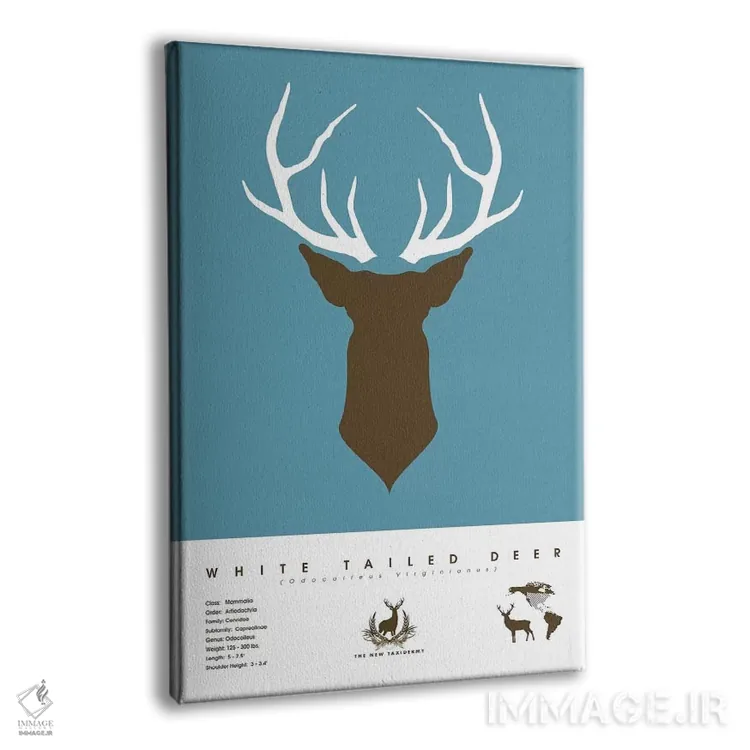 تابلو دکوراتیو گوزن دم سفید اثر طراحی ۲۰۴۶ - نمای پرسپکتیو محصول