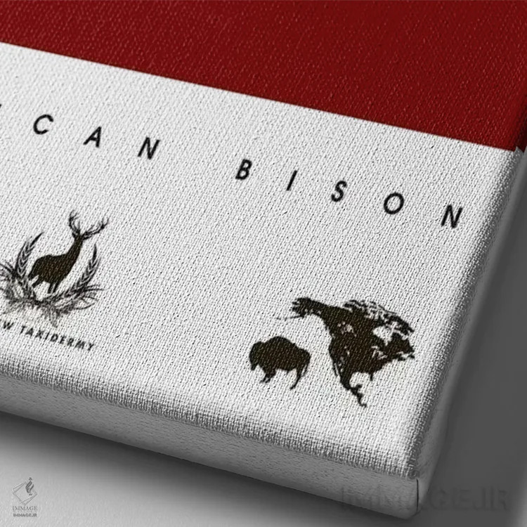 تابلو دکوراتیو بایسون آمریکایی اثر طراحی ۲۰۴۶ - نمای نزدیک بافت بوم