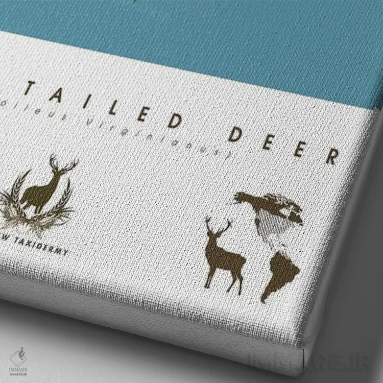 تابلو دکوراتیو گوزن دم سفید اثر طراحی ۲۰۴۶ - نمای نزدیک بافت بوم