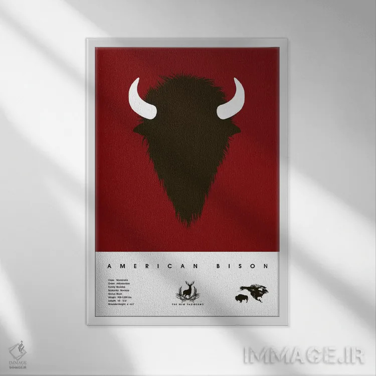 تابلو دکوراتیو بایسون آمریکایی اثر طراحی ۲۰۴۶ - نمای قابدار سفید