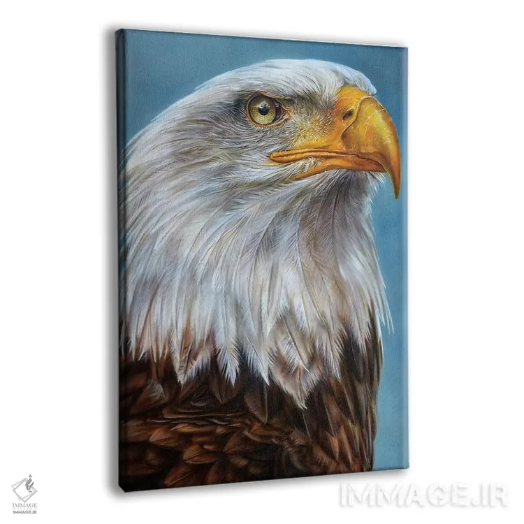تابلو دکوراتیو عقاب اثر درک تورکوت - نمای پرسپکتیو محصول