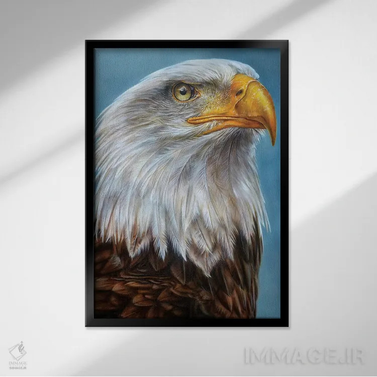تابلو دکوراتیو عقاب اثر درک تورکوت - نمای قابدار مشکی
