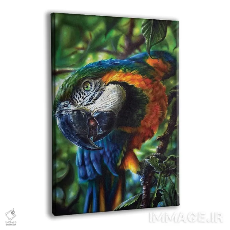 تابلو دکوراتیو طوطی II اثر درک تورکوت - نمای پرسپکتیو محصول