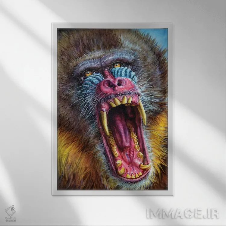 تابلو دکوراتیو ماندریل اثر درک تورکوت - نمای قابدار سفید