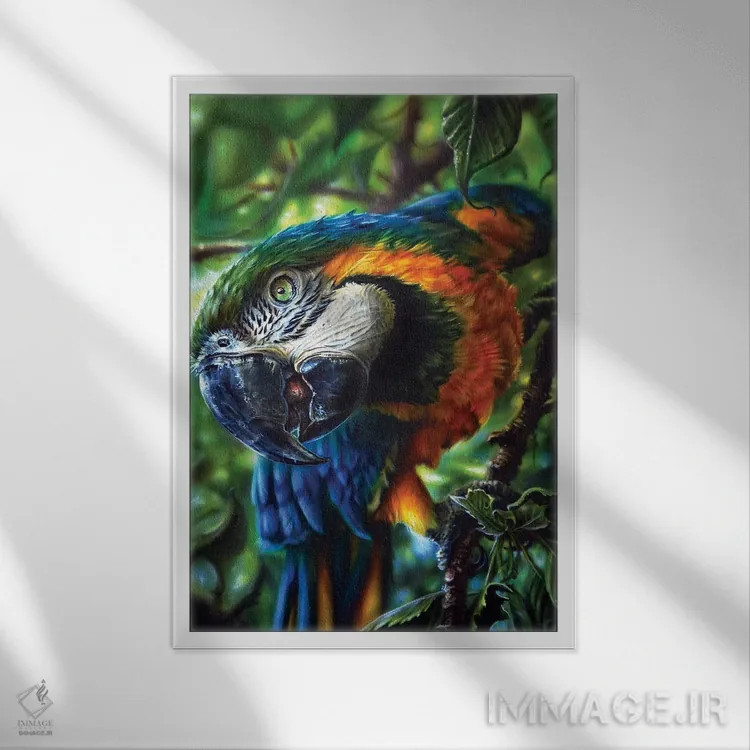 تابلو دکوراتیو طوطی II اثر درک تورکوت - نمای قابدار سفید