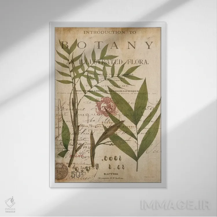 تابلو مدرن مطالعه نخل II اثر دبورا دوولیه - نمای قابدار سفید