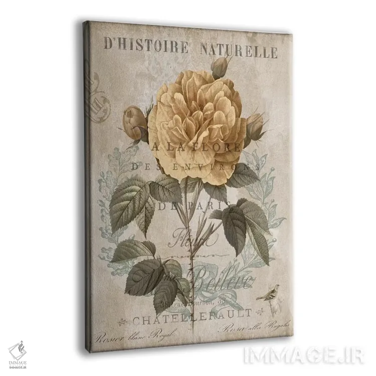 تابلو مدرن گیاه شناسی II اثر دبورا دوولیه - نمای پرسپکتیو محصول