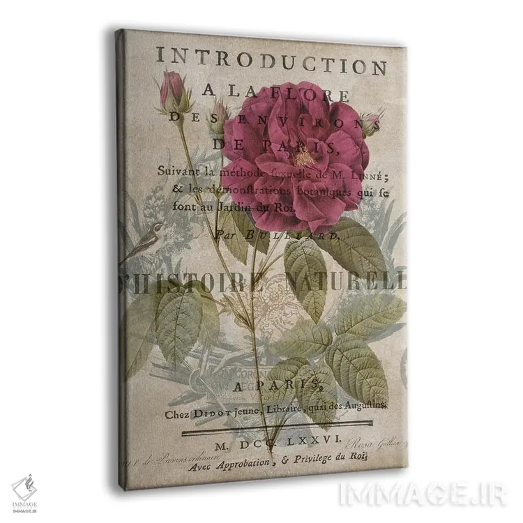 تابلو دکوراتیو گیاه شناسی I اثر دبورا دوولیه - نمای پرسپکتیو محصول