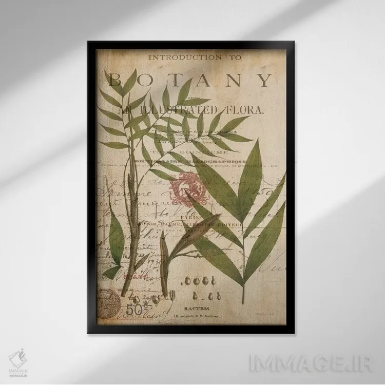 تابلو مدرن مطالعه نخل II اثر دبورا دوولیه - نمای قابدار مشکی