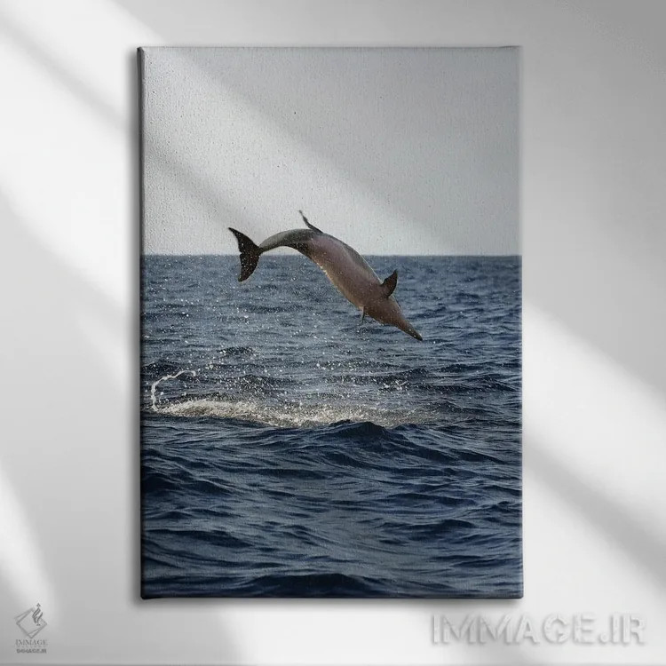 تابلو دکوراتیو Stenella Longirostris, Performs An Aerobatic Leap In The… اثر دیوید فلیتهام - نمای روبهرو روی دیوار