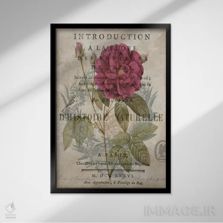 تابلو دکوراتیو گیاه شناسی I اثر دبورا دوولیه - نمای قابدار مشکی