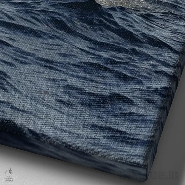 تابلو دکوراتیو Stenella Longirostris, Performs An Aerobatic Leap In The… اثر دیوید فلیتهام - نمای نزدیک بافت بوم