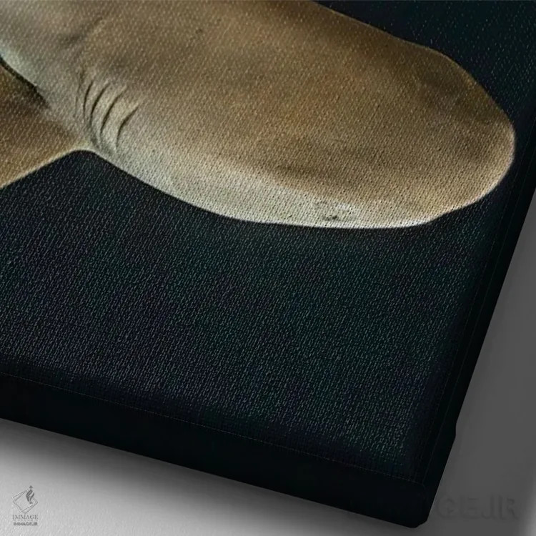 تابلو دکوراتیو Micronesia,کوسه مرجانی دم سیاه در غروب، جزیره یاپ، میکرون… اثر دیوید فلیتهام - نمای نزدیک بافت بوم