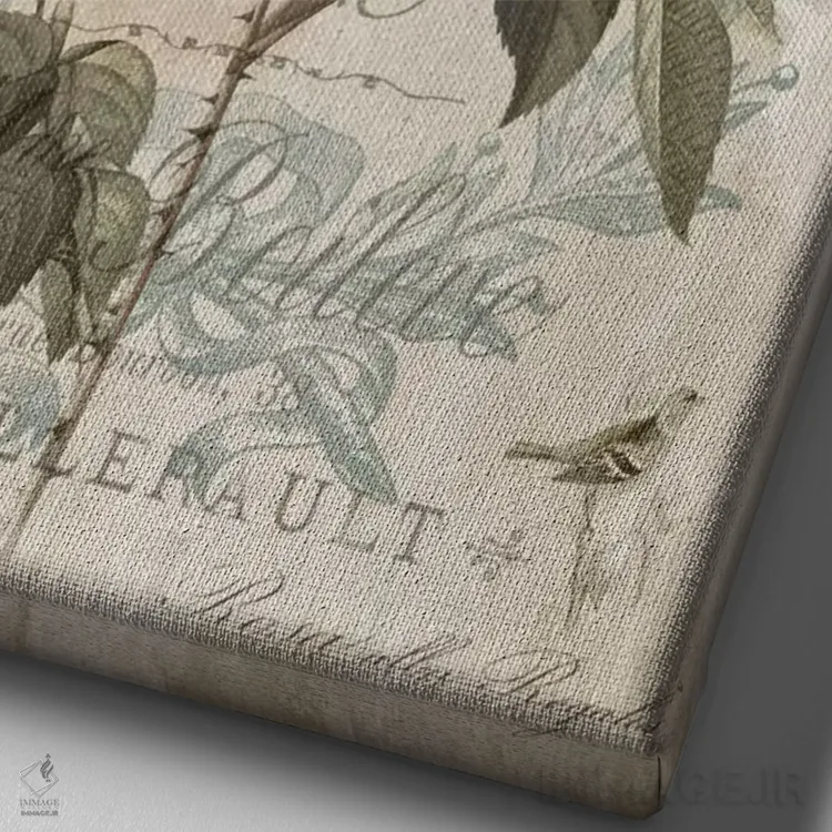 تابلو مدرن گیاه شناسی II اثر دبورا دوولیه - نمای نزدیک بافت بوم