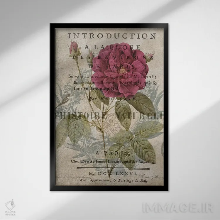 تابلو دکوراتیو گیاه شناسی I اثر دبورا دوولیه - نمای قابدار مشکی