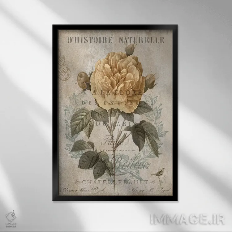 تابلو مدرن گیاه شناسی II اثر دبورا دوولیه - نمای قابدار مشکی