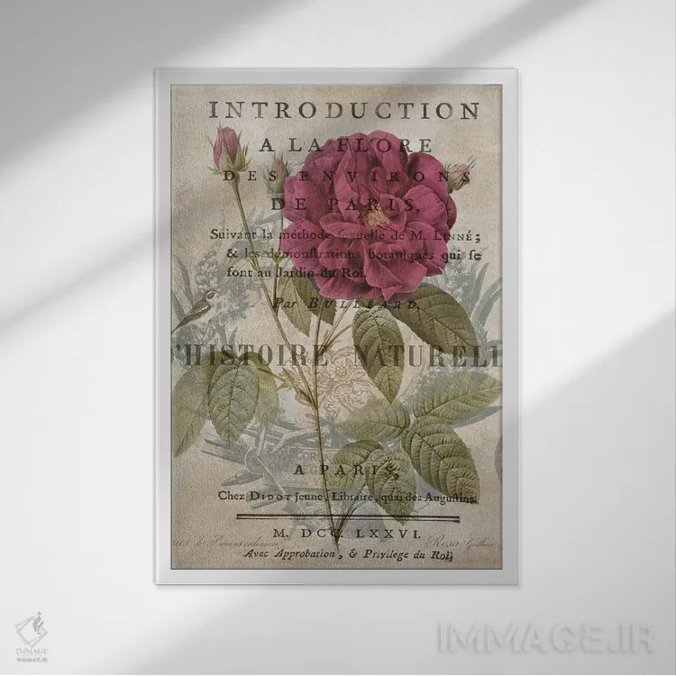 تابلو دکوراتیو گیاه شناسی I اثر دبورا دوولیه - نمای قابدار سفید