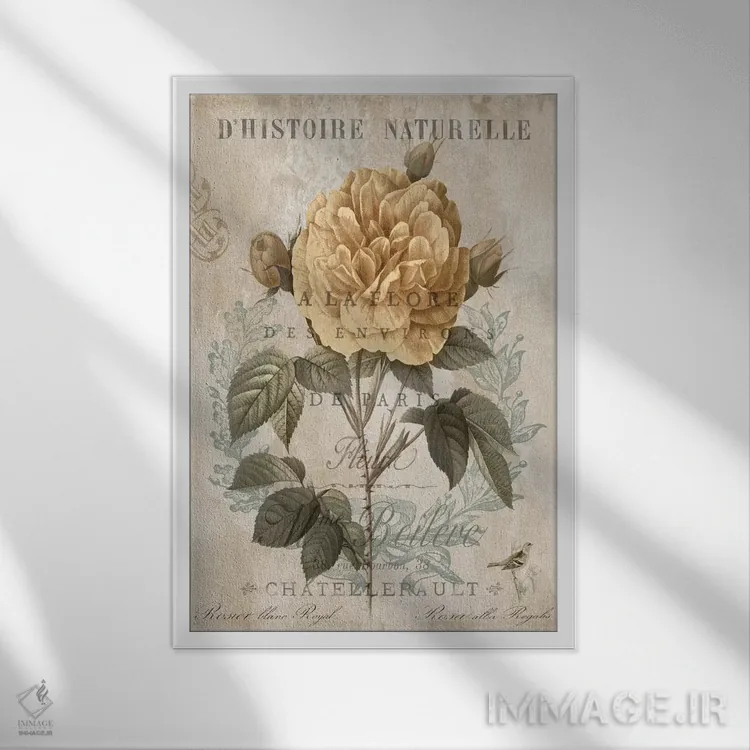 تابلو مدرن گیاه شناسی II اثر دبورا دوولیه - نمای قابدار سفید