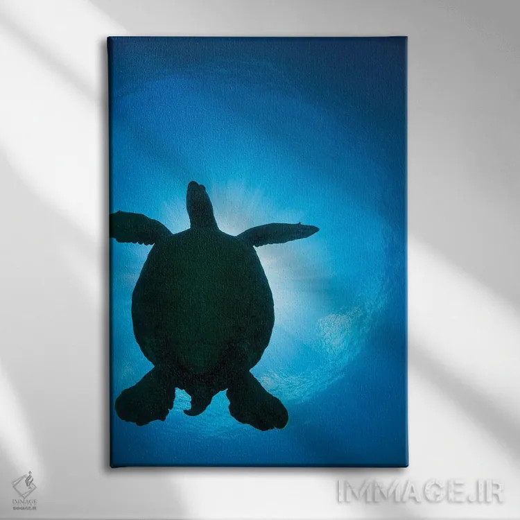 تابلو دکوراتیو Chelonia Mydas, Passes Overhead,سایه یک لاک پشت سبز دریای… اثر دیوید فلیتهام - نمای روبهرو روی دیوار