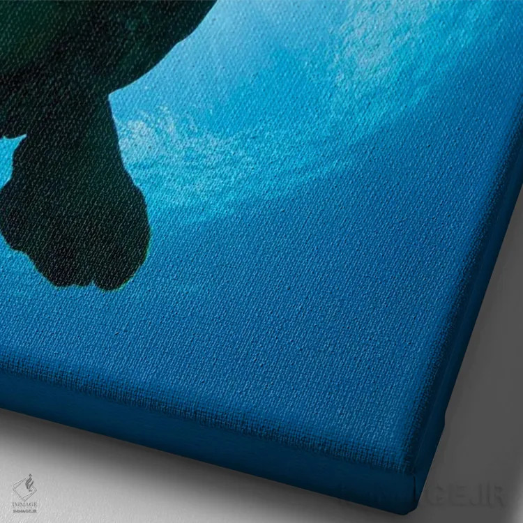 تابلو دکوراتیو Chelonia Mydas, Passes Overhead,سایه یک لاک پشت سبز دریای… اثر دیوید فلیتهام - نمای نزدیک بافت بوم