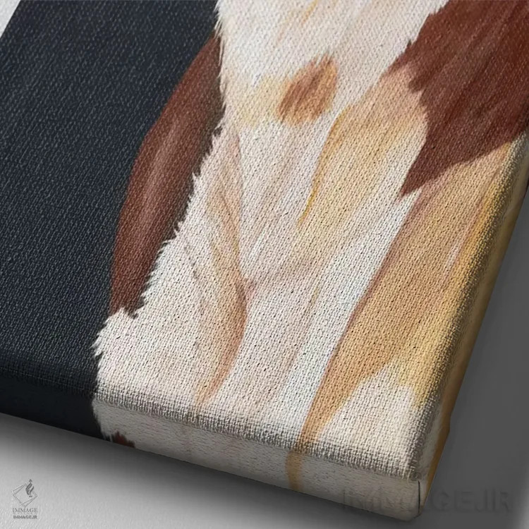 تابلو دکوراتیو بفرمایید داخل اثر دایان فیفر - نمای نزدیک بافت بوم