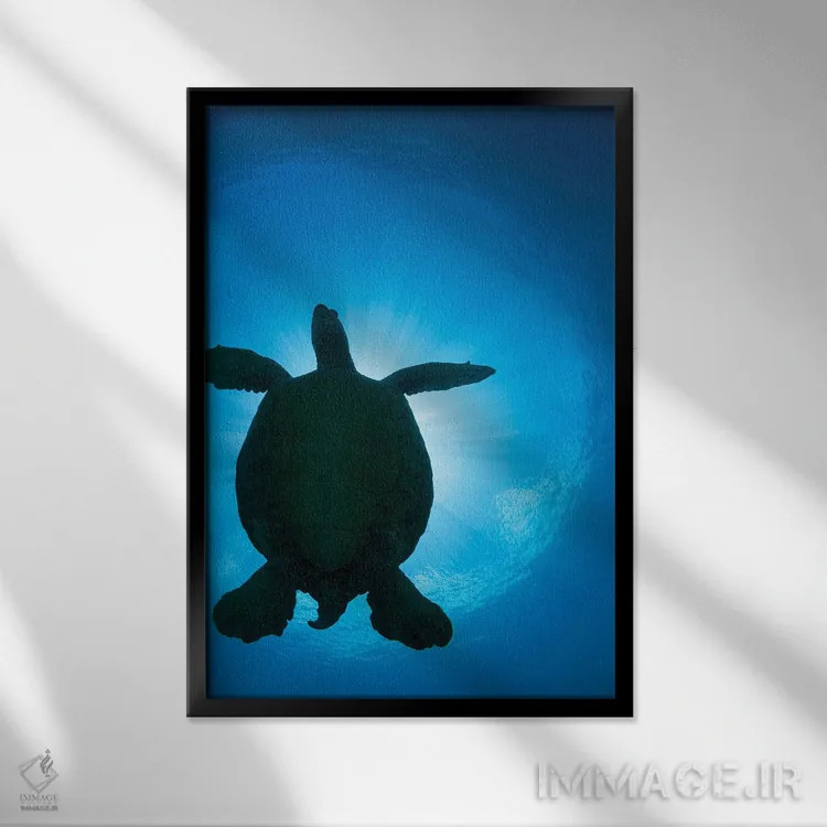 تابلو دکوراتیو Chelonia Mydas, Passes Overhead,سایه یک لاک پشت سبز دریای… اثر دیوید فلیتهام - نمای قابدار مشکی