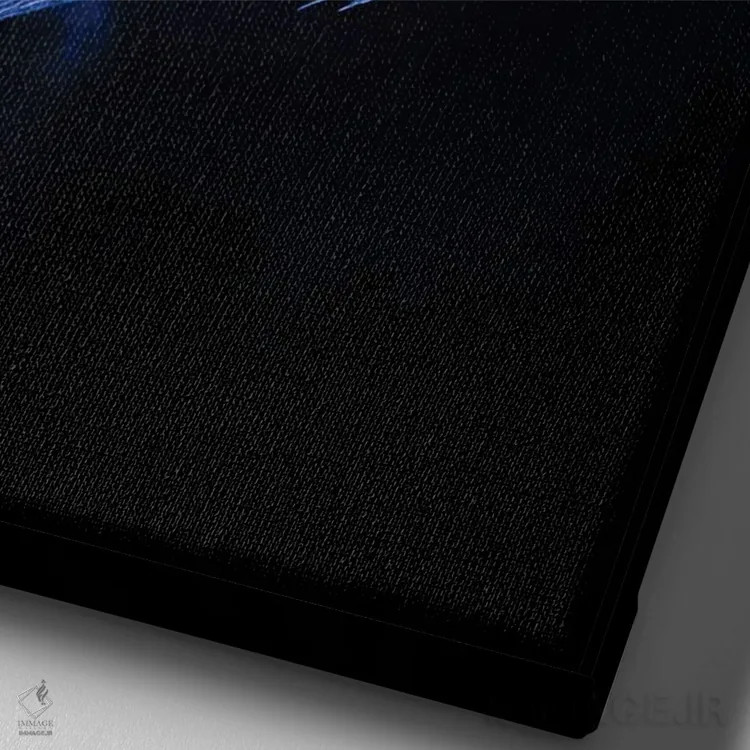 تابلو دکوراتیو Pomacanthus Maculosus, Red Sea, Egypt,یک ماهی فرشته ای بل… اثر دیوید فلیتهام - نمای نزدیک بافت بوم