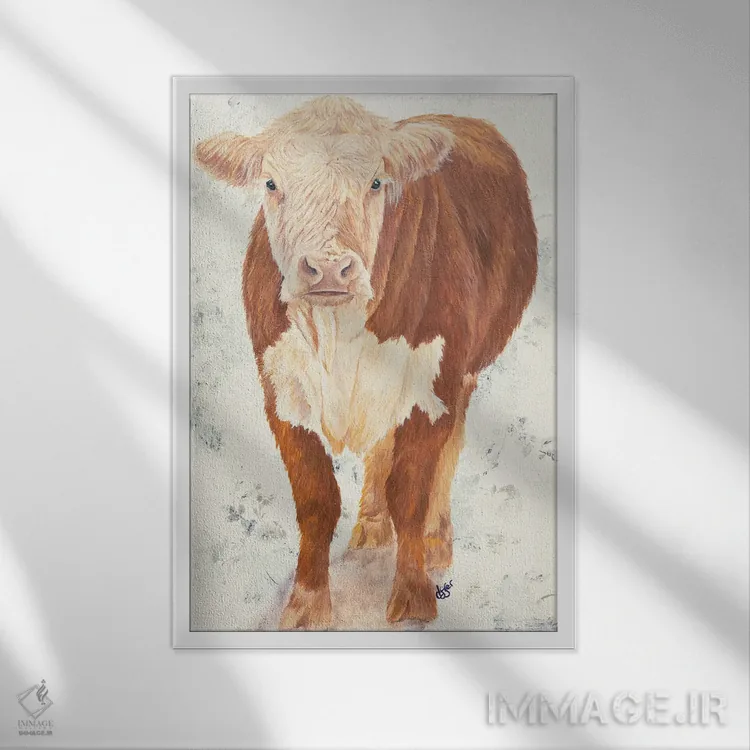 تابلو مدرن گاو مولی موو اثر دایان فیفر - نمای قابدار سفید