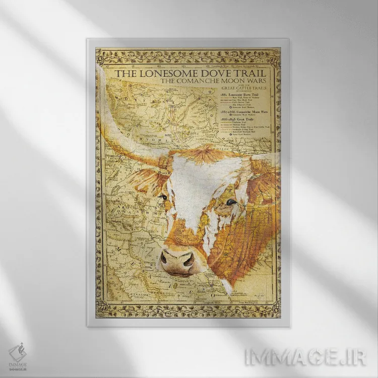 تابلو دکوراتیو جاده کبوتر تنها اثر دایان فیفر - نمای قابدار سفید