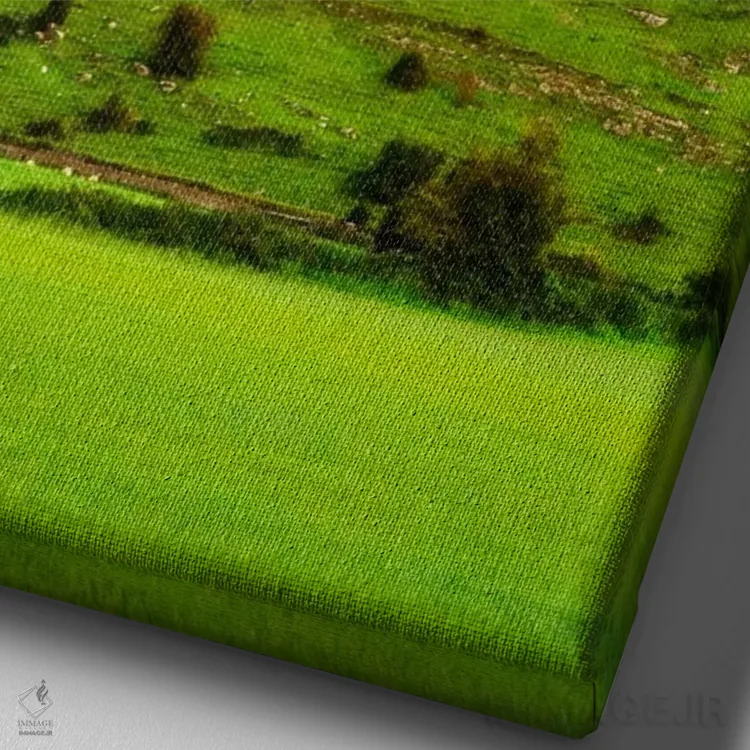 تابلو دکوراتیو County Tipperary, Munster Province, Republic Of Ireland,صاع… اثر دنیس فلهرتی - نمای نزدیک بافت بوم