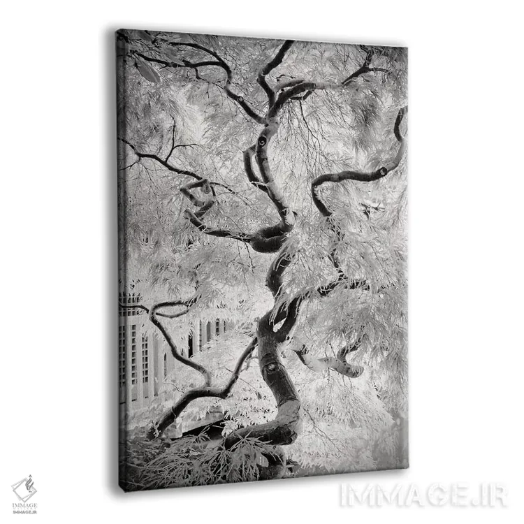 تابلو دکوراتیو درخت رویا اثر دوریت فوگ - نمای پرسپکتیو محصول
