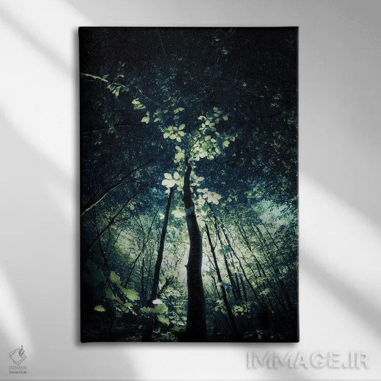 تابلو دکوراتیو سایه بان اثر دوریت فوگ - نمای روبهرو روی دیوار