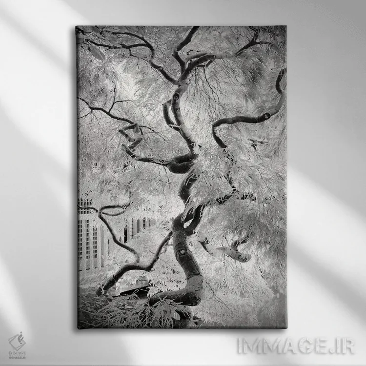 تابلو دکوراتیو درخت رویا اثر دوریت فوگ - نمای روبهرو روی دیوار