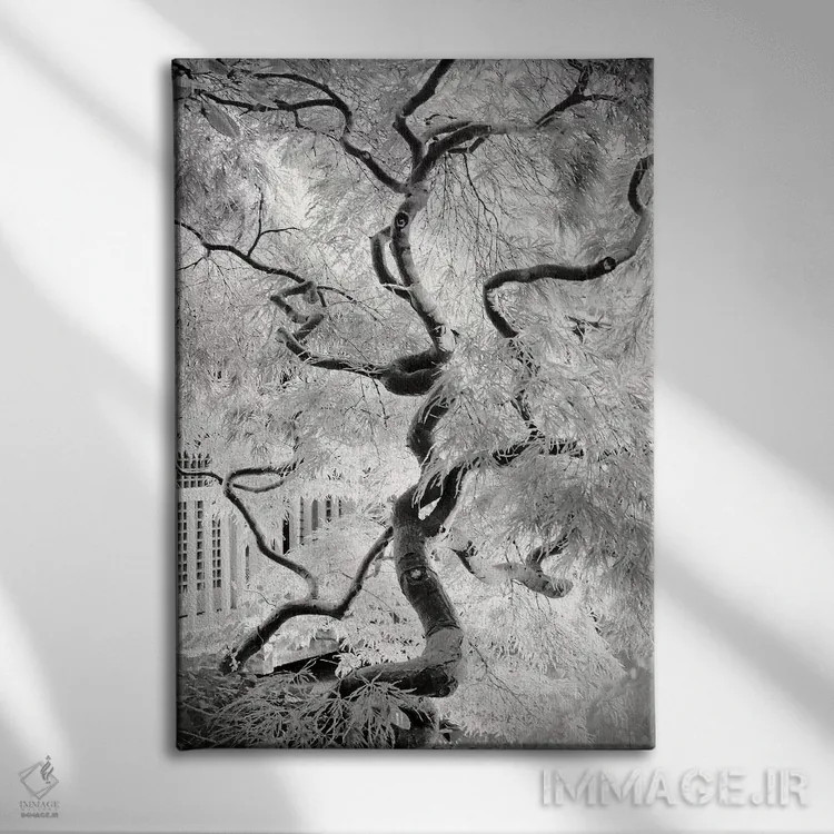 تابلو دکوراتیو درخت رویا اثر دوریت فوگ - نمای روبهرو روی دیوار