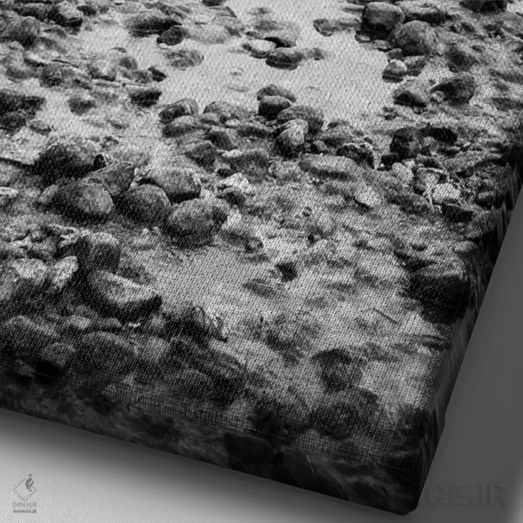 تابلو دکوراتیو رانده شدن اثر دوریت فوگ - نمای نزدیک بافت بوم