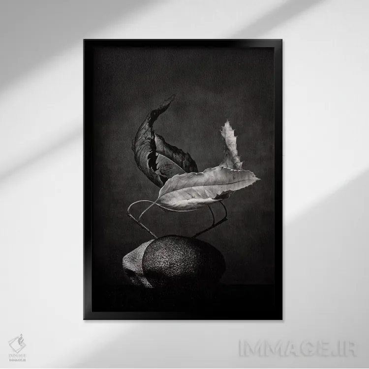 تابلو دکوراتیو ال تانگو اثر دوریت فوگ - نمای قابدار مشکی