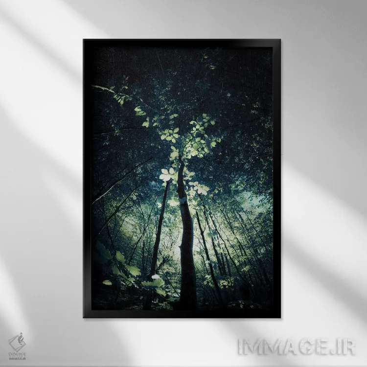 تابلو دکوراتیو سایه بان اثر دوریت فوگ - نمای قابدار مشکی