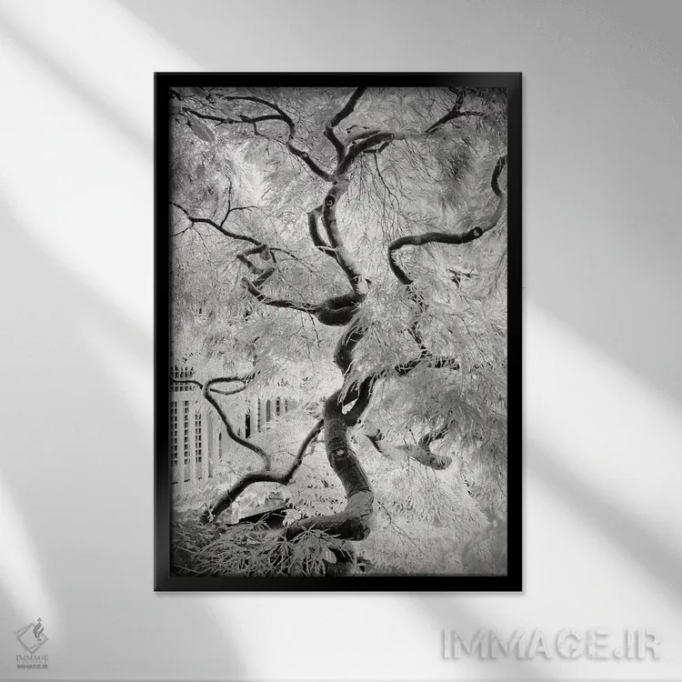 تابلو دکوراتیو درخت رویا اثر دوریت فوگ - نمای قابدار مشکی