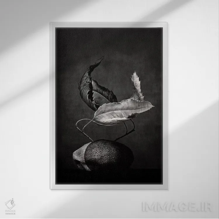 تابلو دکوراتیو ال تانگو اثر دوریت فوگ - نمای قابدار سفید