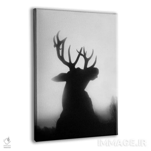 تابلو دکوراتیو غرش اثر دوریت فوگ - نمای پرسپکتیو محصول