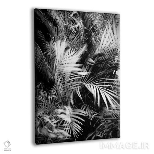 تابلو دکوراتیو نخل وحشی اثر دوریت فوگ - نمای پرسپکتیو محصول