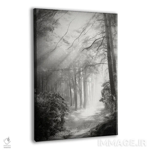 تابلو دکوراتیو جنگل افسانه ای اثر دوریت فوگ - نمای پرسپکتیو محصول