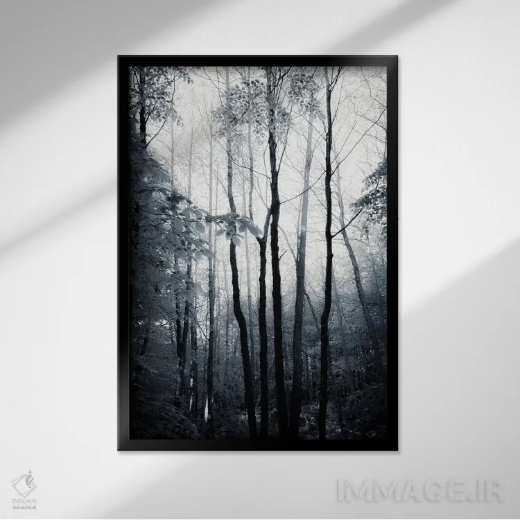 تابلو دکوراتیو روح های کهن اثر دوریت فوگ - نمای قابدار مشکی